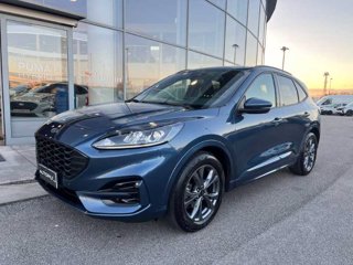 FORD Kuga 1.5 EcoBlue 120 CV aut. 2WD ST-Line