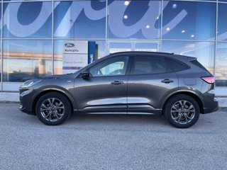 FORD Kuga 1.5 EcoBlue 120 CV aut. 2WD ST-Line