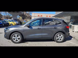 FORD Kuga 2.5 Plug In Hybrid 225 CV CVT 2WD Titanium Business