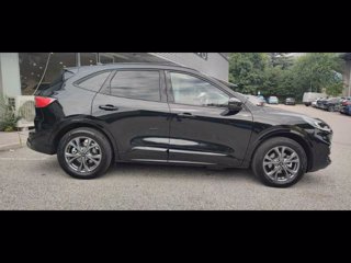 FORD Kuga 2.5 Plug In Hybrid 225 CV CVT 2WD ST-Line