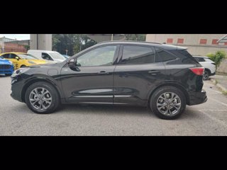 FORD Kuga 2.5 Plug In Hybrid 225 CV CVT 2WD ST-Line