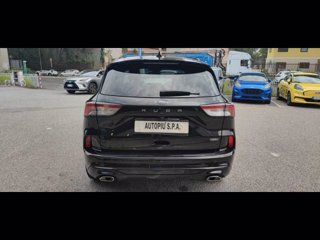 FORD Kuga 2.5 Plug In Hybrid 225 CV CVT 2WD ST-Line