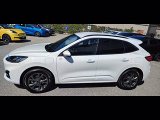 FORD Kuga 2.5 Plug In Hybrid 225 CV CVT 2WD ST-Line X