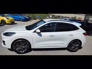 FORD Kuga 2.5 Plug In Hybrid 225 CV CVT 2WD ST-Line X