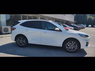 FORD Kuga 2.5 Plug In Hybrid 225 CV CVT 2WD ST-Line X