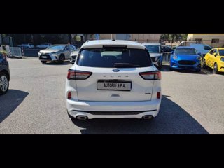 FORD Kuga 2.5 Plug In Hybrid 225 CV CVT 2WD ST-Line X