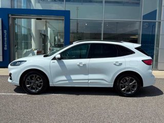 FORD Kuga 2.5 Full Hybrid 190 CV CVT 2WD ST-Line