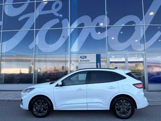 FORD Kuga 2.5 Full Hybrid 190 CV CVT 2WD ST-Line