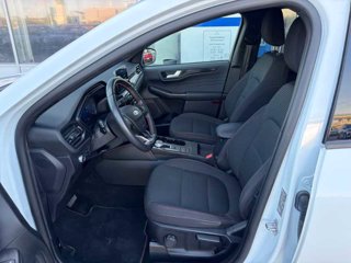 FORD Kuga 2.5 Full Hybrid 190 CV CVT 2WD ST-Line
